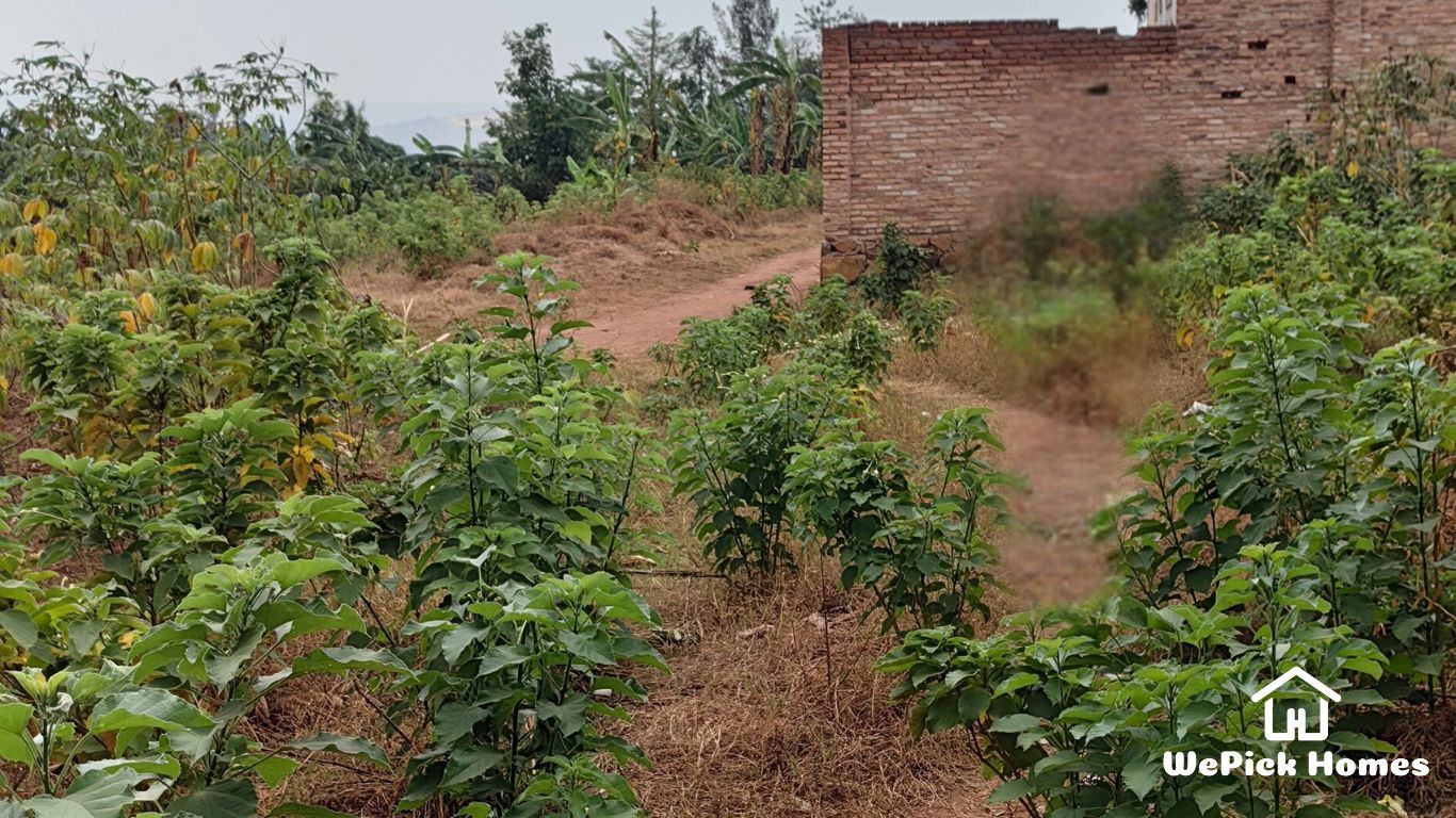 Residential Plot For Sale in Kanombe, Kigali | WeP... photo 2