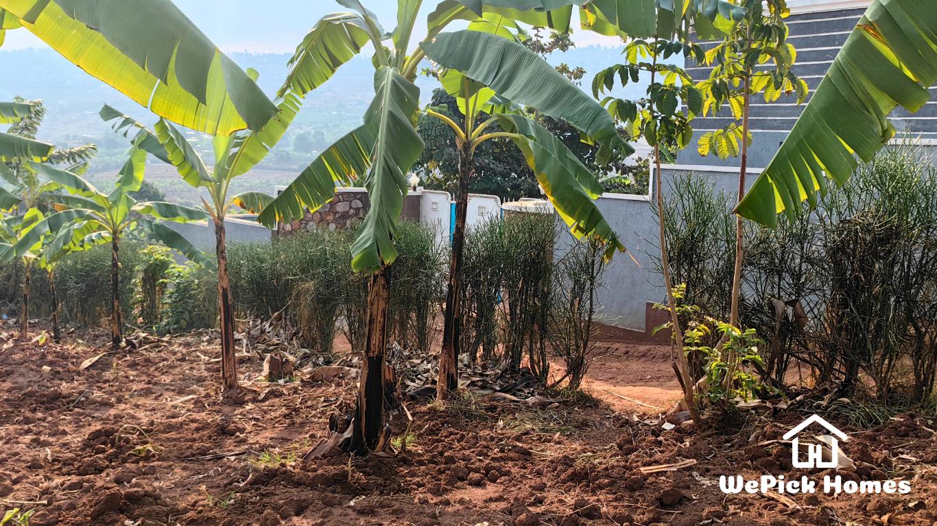 Residential Plot for Sale in Bumbogo, Gasabo. photo 3