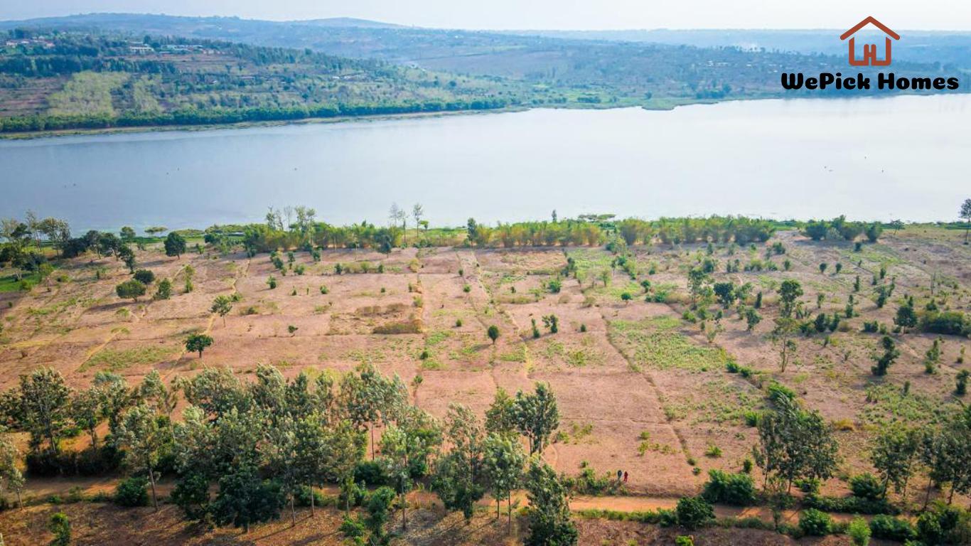 Lakefront Agricultural Land For Sale in Bugesera, ... photo 2